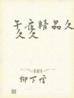 午夜精品久久久 久久