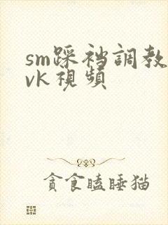 sm踩裆调教丨vk视频