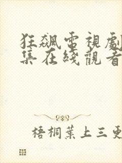 狂飙电视剧40集在线观看免费流畅