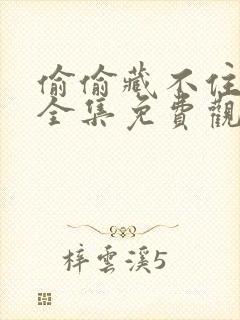 偷偷藏不住在线全集免费观看