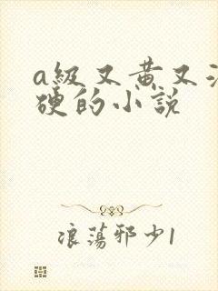 a级又黄又湿又硬的小说