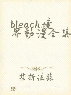 bleach境界动漫全集在线观看免费高清封面