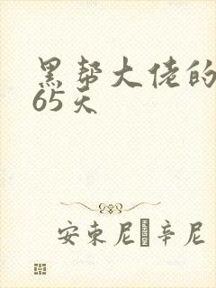 黑帮大佬的第365天封面