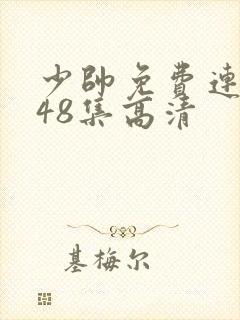 少帅免费连续剧48集高清