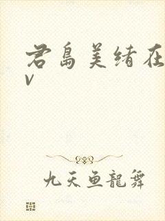 君岛美绪在线av