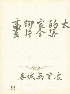 高柳家的太太动画片全集