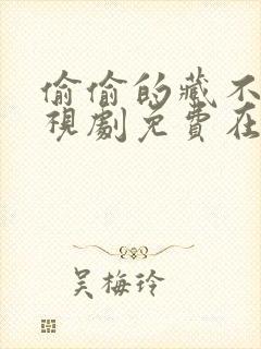 偷偷的藏不住电视剧免费在线封面