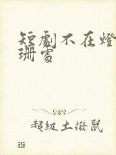 短剧不在灯火阑珊处封面