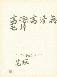 高潮高清无遮挡毛片