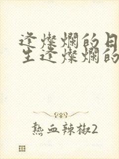 逢灿烂的日子《生逢灿烂的日子》