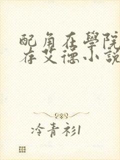 配角在学院中生存艾德小说封面