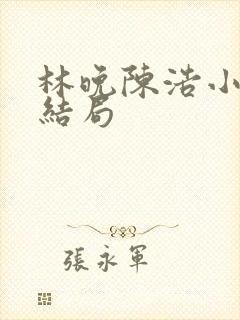 林晚陈浩小说大结局