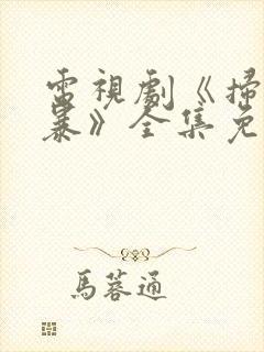 电视剧《扫黑风暴》全集免费观看封面