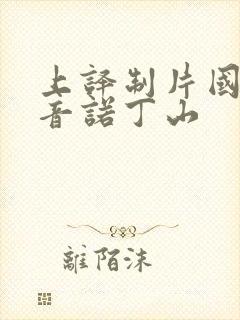 上译制片国语配音诺丁山