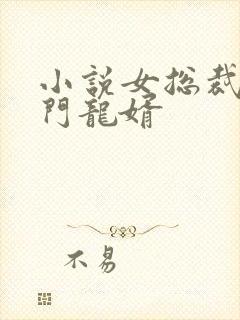 小说女总裁的上门龙婿