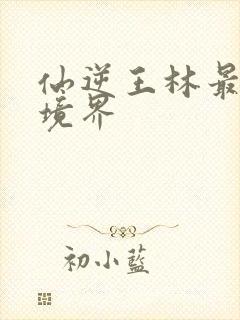 仙逆王林最后的境界封面