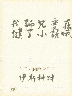 我师兄实在太稳健了小说哦