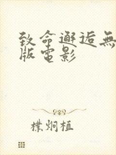 致命邂逅无删减版电影