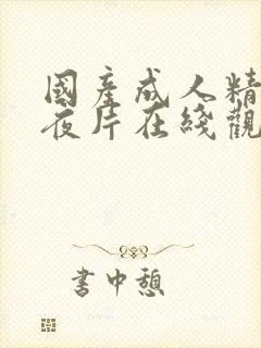 国产成人精品午夜片在线观看封面