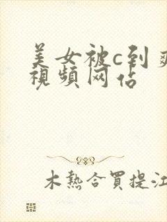 美女被c到爽哭视频网站