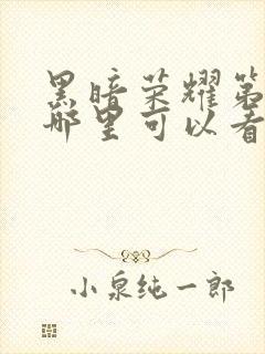 黑暗荣耀第二季哪里可以看