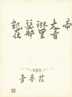 凯瑟琳大帝,能在哪里看封面