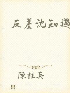 反差沈知遇晏应