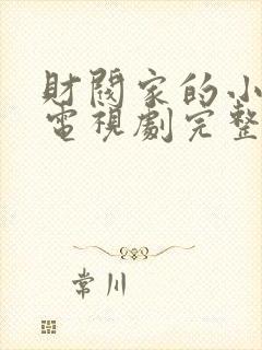 财阀家的小儿子电视剧完整版