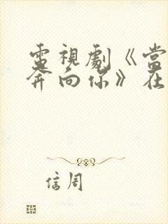 电视剧《当我飞奔向你》在线观看