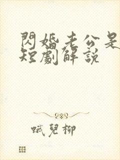 闪婚老公是总裁短剧解说封面