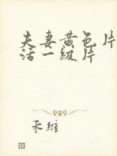 夫妻黄色片性生活一级片