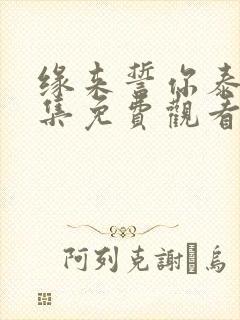 缘来誓你泰剧全集免费观看完整版