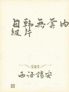 日韩无套内射一级片