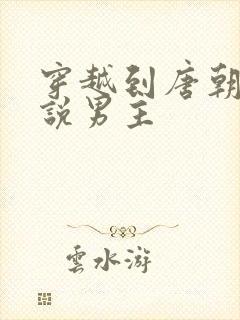 穿越到唐朝的小说男主封面