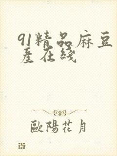 91精品麻豆国产在线