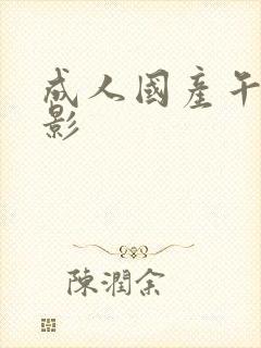 成人国产午夜电影