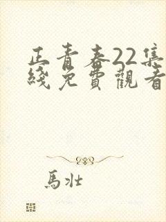 正青春22集在线免费观看