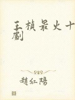 王桢最火十部短剧