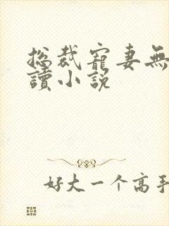 总裁宠妻无度阅读小说