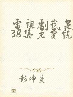 电视剧我是刑警38集免费观看