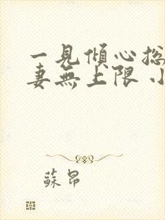 一见倾心总裁宠妻无上限 小说