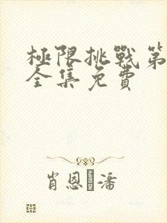 极限挑战第4季全集免费