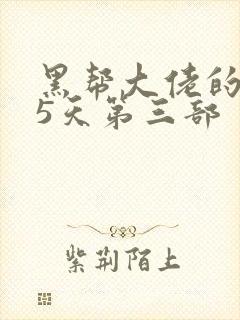 黑帮大佬的365天第三部