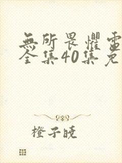 无所畏惧电视剧全集40集免费观看高清