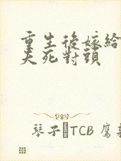 重生后嫁给了前夫死对头