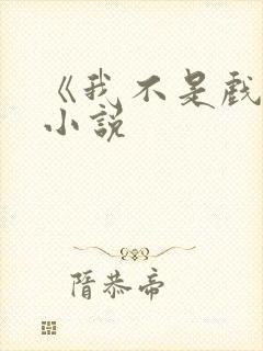 《我不是戏神》小说