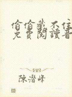 偷偷藏不住全文免费阅读晋江