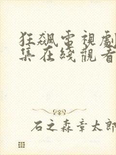 狂飙电视剧40集在线观看免费秋霞网