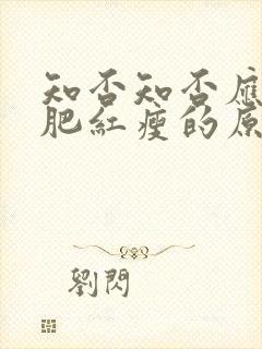 知否知否应是绿肥红瘦的原著叫什么