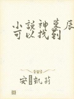 小说神墓辰东哪可以找到